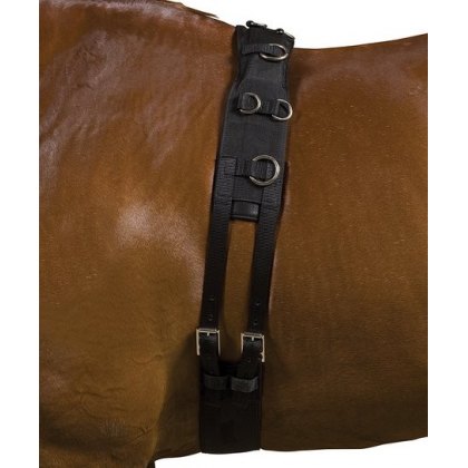 Kincade Deluxe Lunge Roller