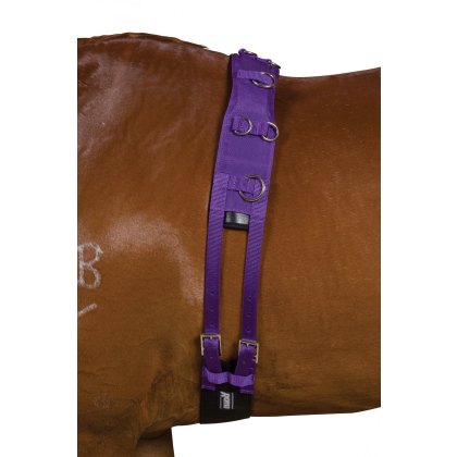 Kincade Deluxe Lunge Roller