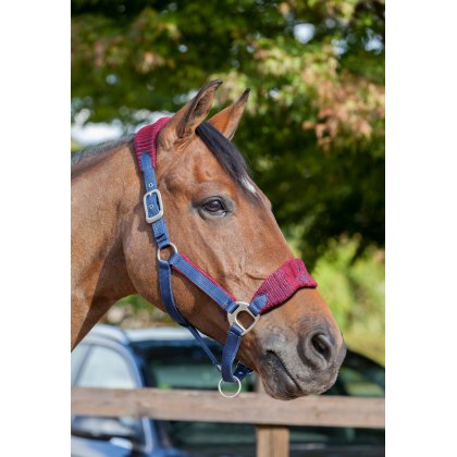 LeMieux Vogue Headcollar and Leadrope Burgundy/Navy