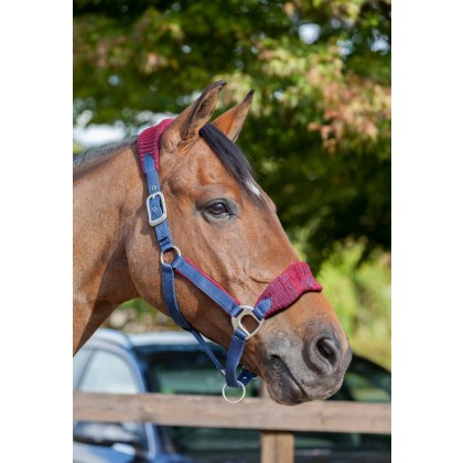 LeMieux Vogue Headcollar and Leadrope Burgundy/Navy