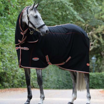 WeatherBeeta Therapy-Tec Combo Neck Horse Rug