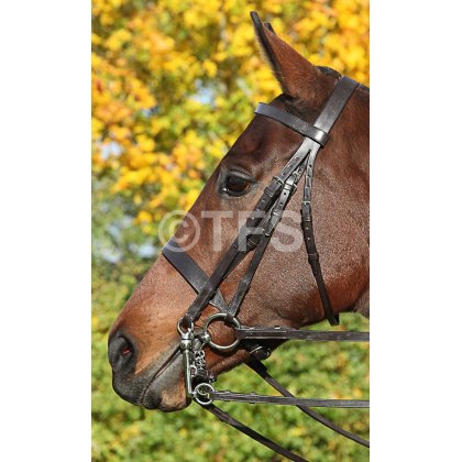 Townfields Flat Nose Hunt Weymouth Bridle