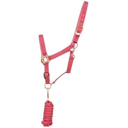 Hy Horse Headcollar