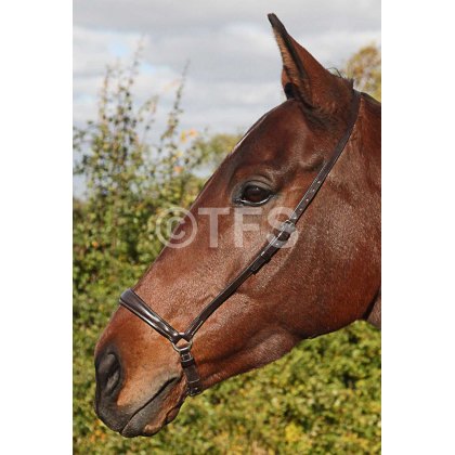 Townfields Drop Noseband