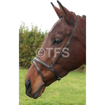 Townfields Flash Noseband