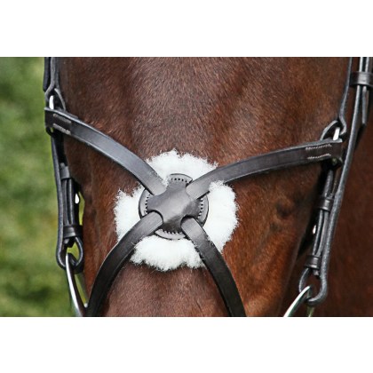 Townfields Spanish Grackle Noseband