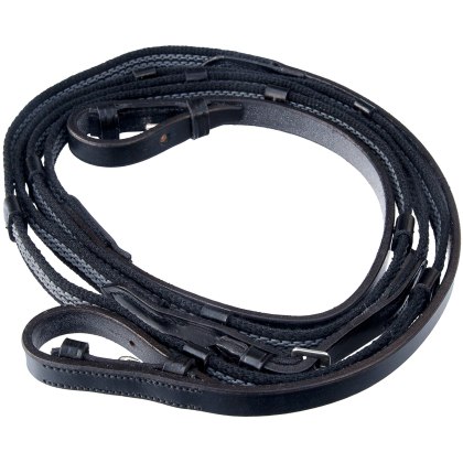 Townfields Web Reins