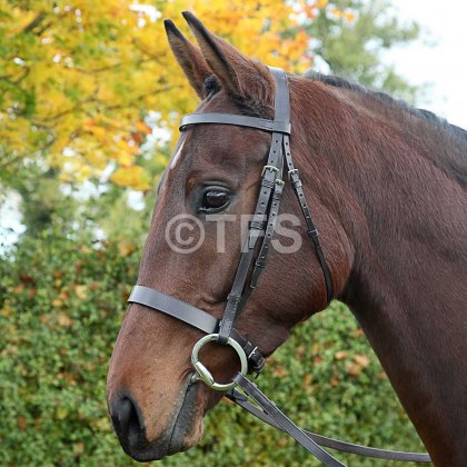 Townfields Hunter Flat Nose 1 1/8 Snaffle Bridle