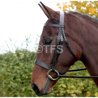 Townfields Hunter Flat Nose 1 1/4 Snaffle Bridle