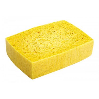 Sponge Lincoln Best Quality