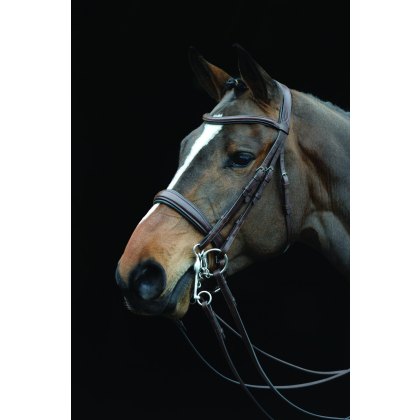 Collegiate Mono Crown Padded Raised Weymouth Bridle