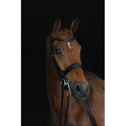 Collegiate Mono Crown Padded Raised Weymouth Bridle