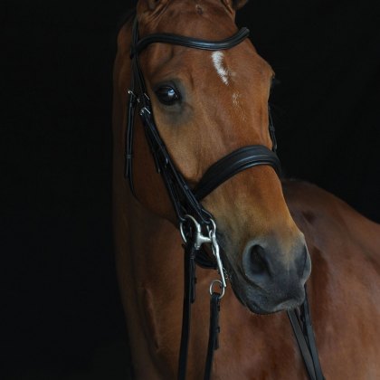 Collegiate Mono Crown Padded Raised Weymouth Bridle