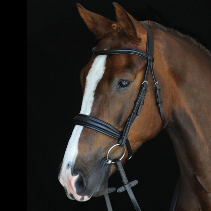 Collegiate Mono Crown Padded Raised Cavesson Bridle