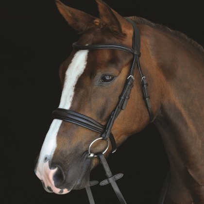 Collegiate Mono Crown Padded Raised Cavesson Bridle