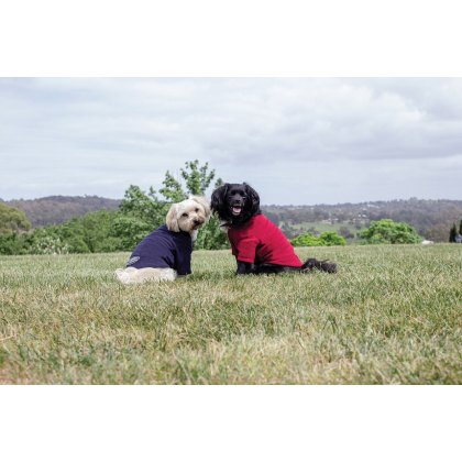 Weatherbeeta ComFiTec Fleece Dog Jumper