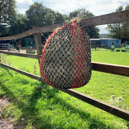 Townfields Large Haylage Net