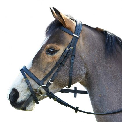 Wintec Flash Bridle