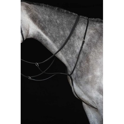 Collegiate Running Martingale