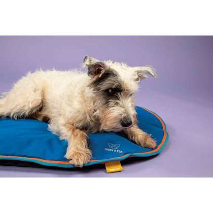 Shires Digby and Fox Waterproof Dog Cushion