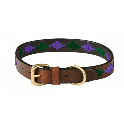 Weatherbeeta Polo Dog Collar