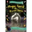 Pippa Funnell Magic Spirit The Dream Horse Book