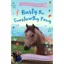 Pippa Funnell Pippas Pony Tales Rusty The Trustworthy Pony in Brown