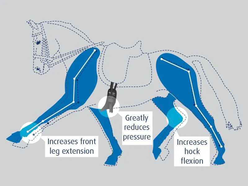 Prolite Performance Dressage Girth in Black-3