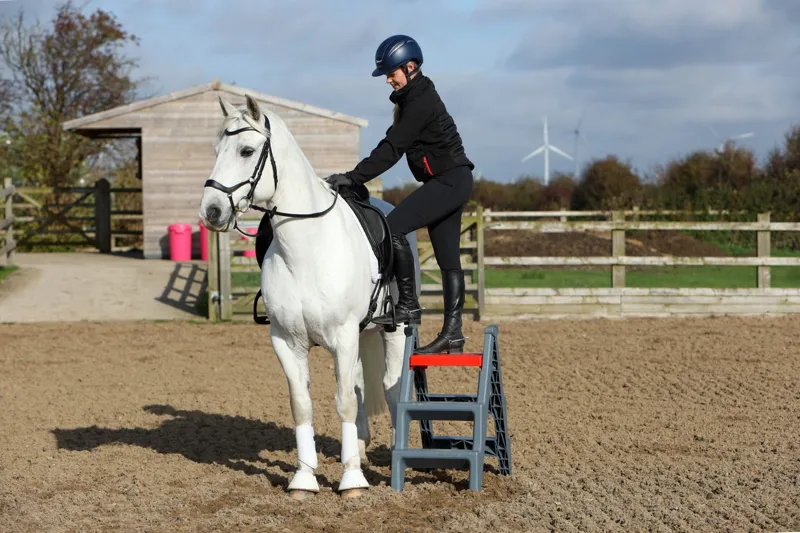 Red Gorilla Step Up in Grey and Red-3