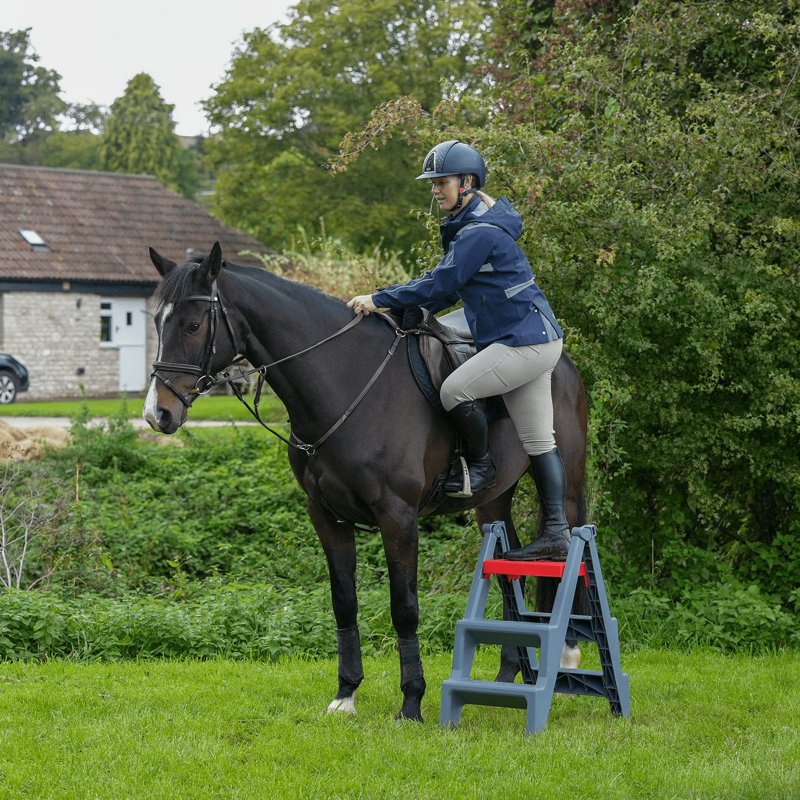 Red Gorilla Step Up in Grey and Red-4