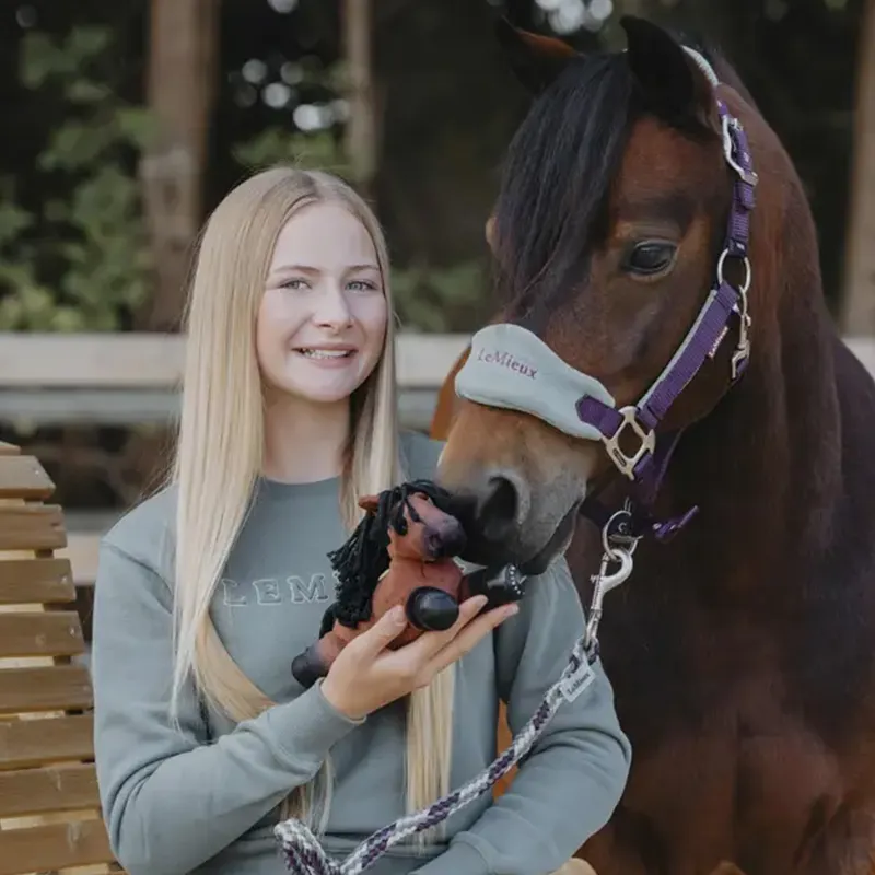 LeMieux Harlow Tiny Beanie Pony Rolo-1