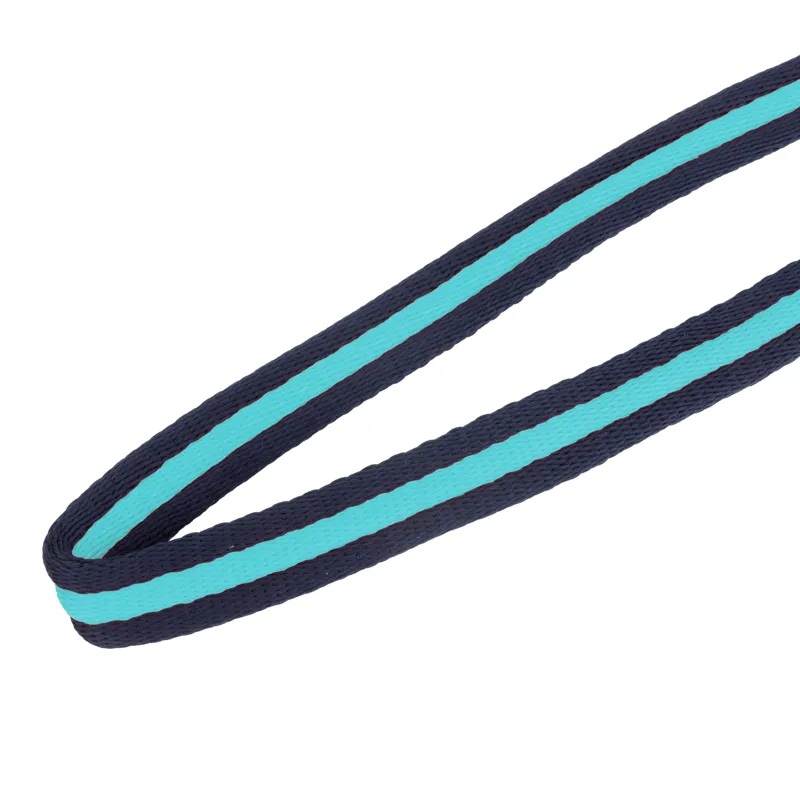 Shires ARMA Cushion Web Lead Rein 1.8m in Navy and Cambridge Blue-2