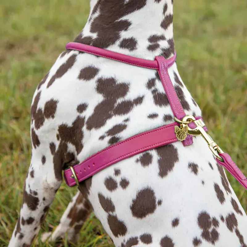 Shires Digby and Fox Rolled Leather Dog Harness in Pink