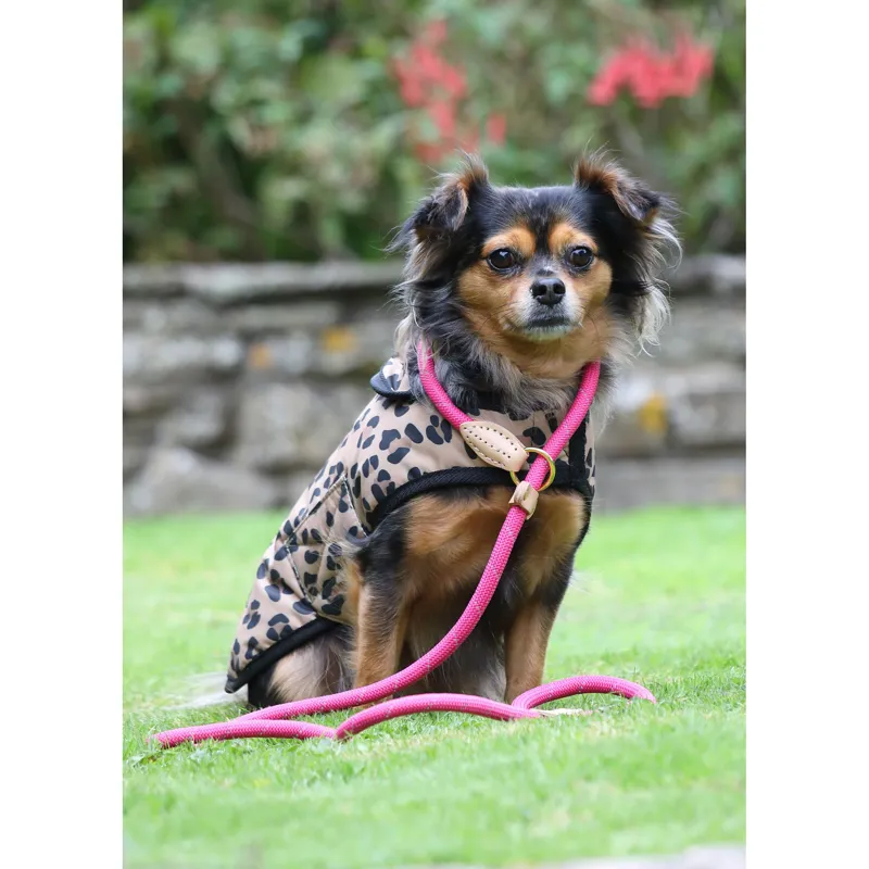 Shires Digby and Fox Reflective Slip Dog Lead in Pink