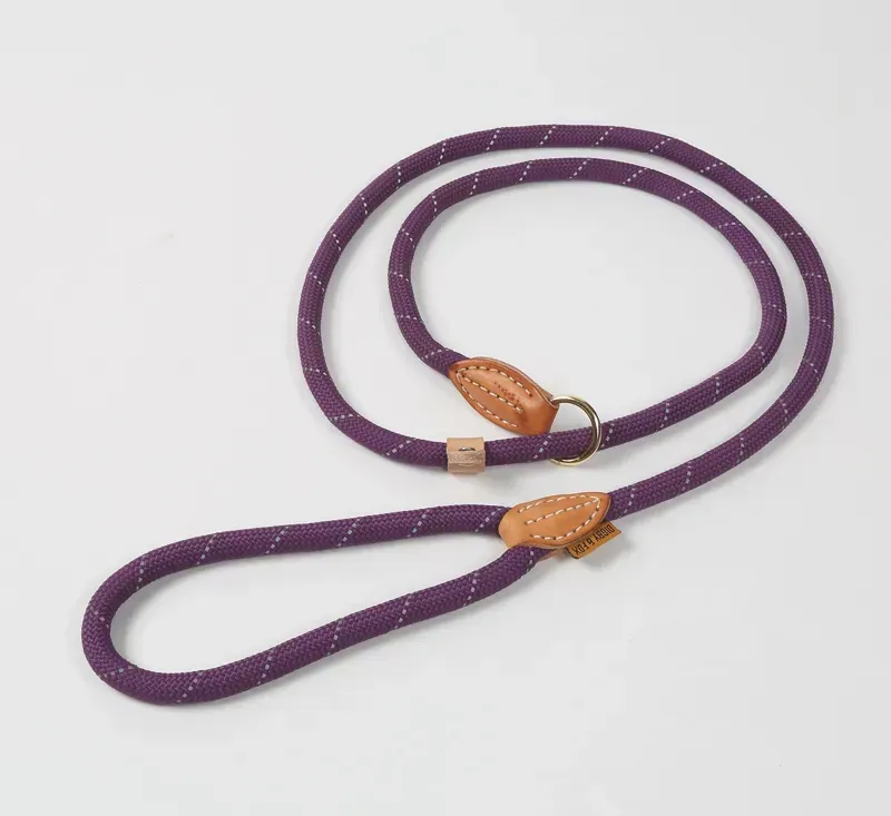 Shires Digby and Fox Reflective Slip Dog Lead in Purple