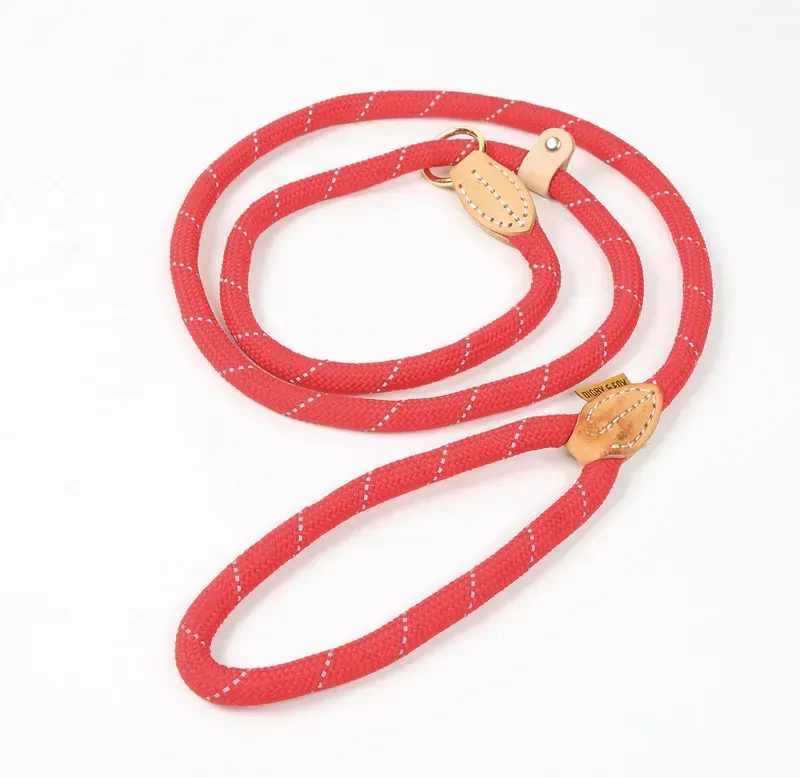 Shires Digby and Fox Reflective Slip Dog Lead in Scarlett