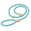 Shires Digby and Fox Reflective Slip Dog Lead in Teal