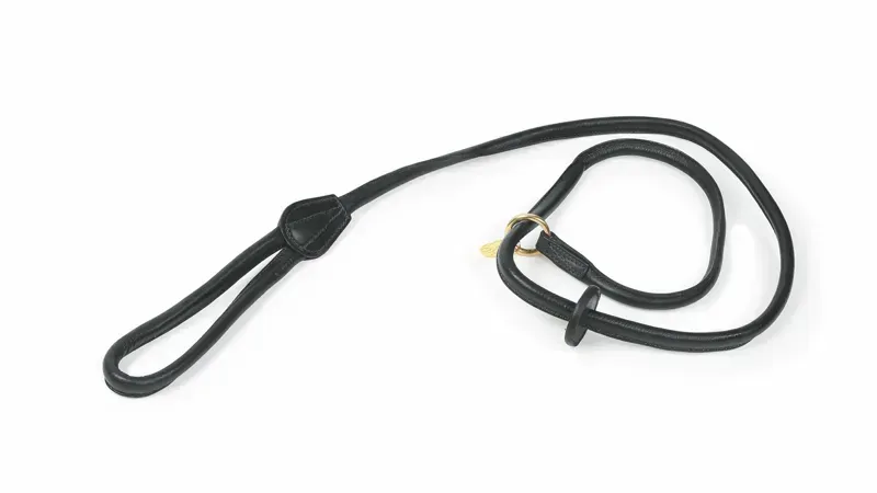 Shires Digby and Fox Rolled Leather Slip Lead in Black