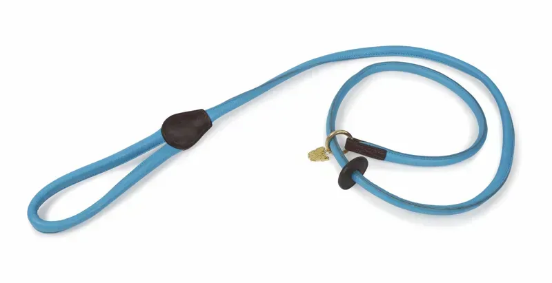Shires Digby and Fox Rolled Leather Slip Lead in Blue