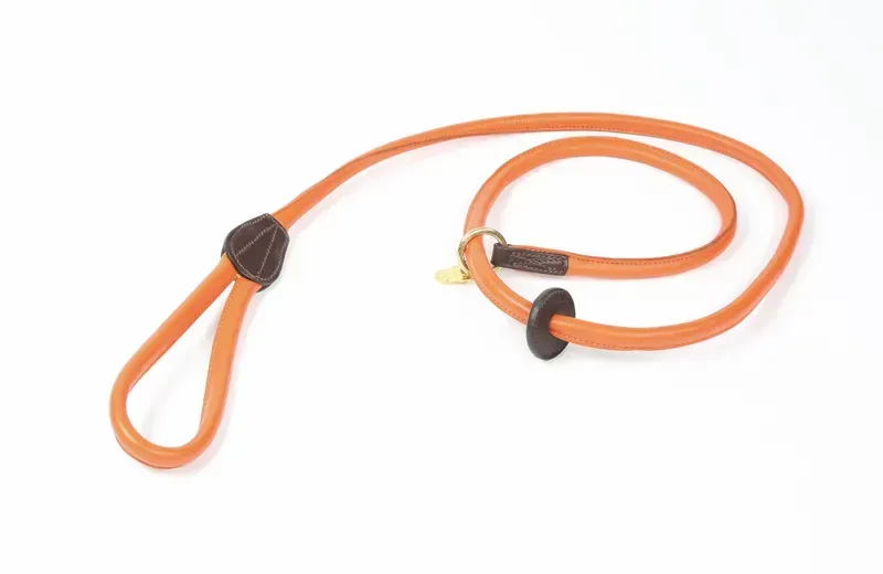 Shires Digby and Fox Rolled Leather Slip Lead in Orange