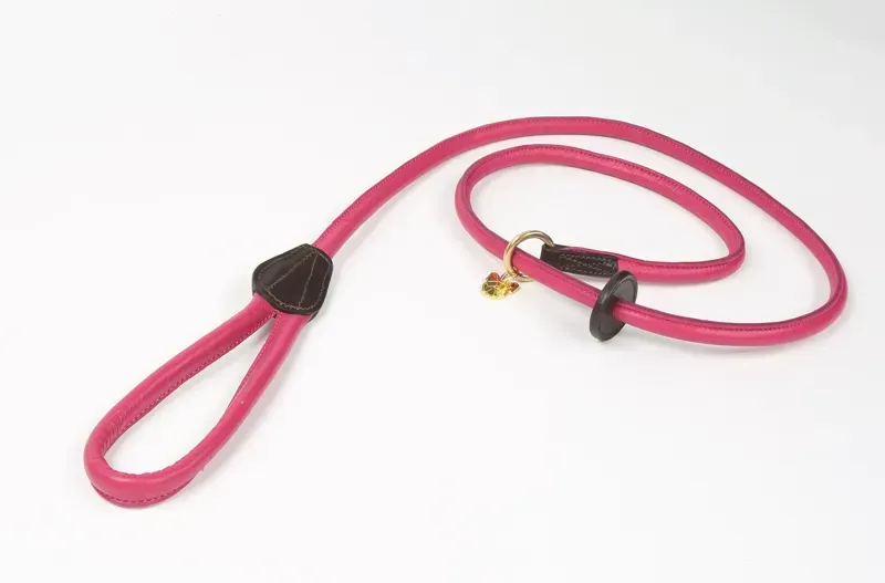 Shires Digby and Fox Rolled Leather Slip Lead in Pink