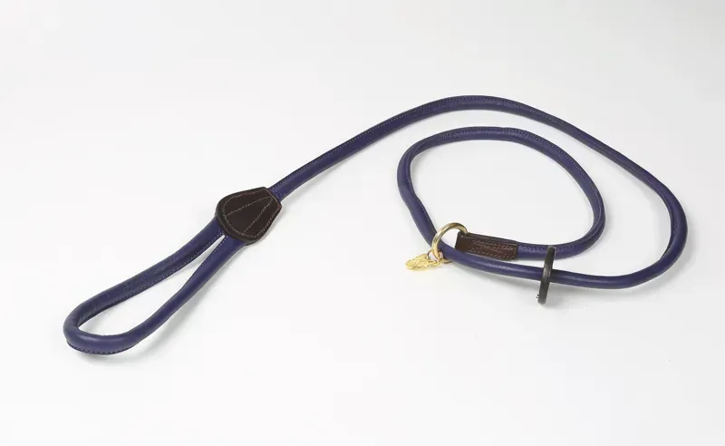 Shires Digby and Fox Rolled Leather Slip Lead in Purple