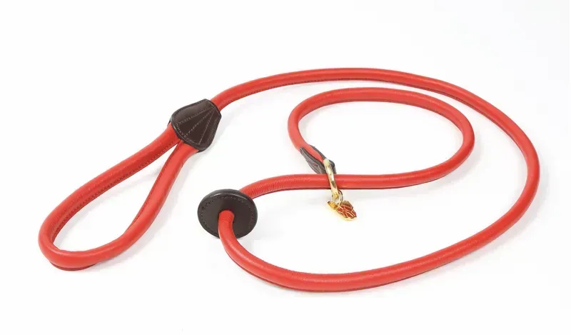 Shires Digby and Fox Rolled Leather Slip Lead in Red