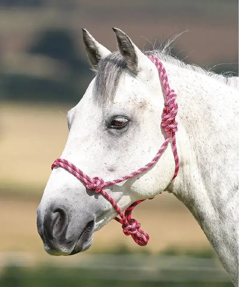 Shires One Size Rope Control Headcollar In Pink/Black-1