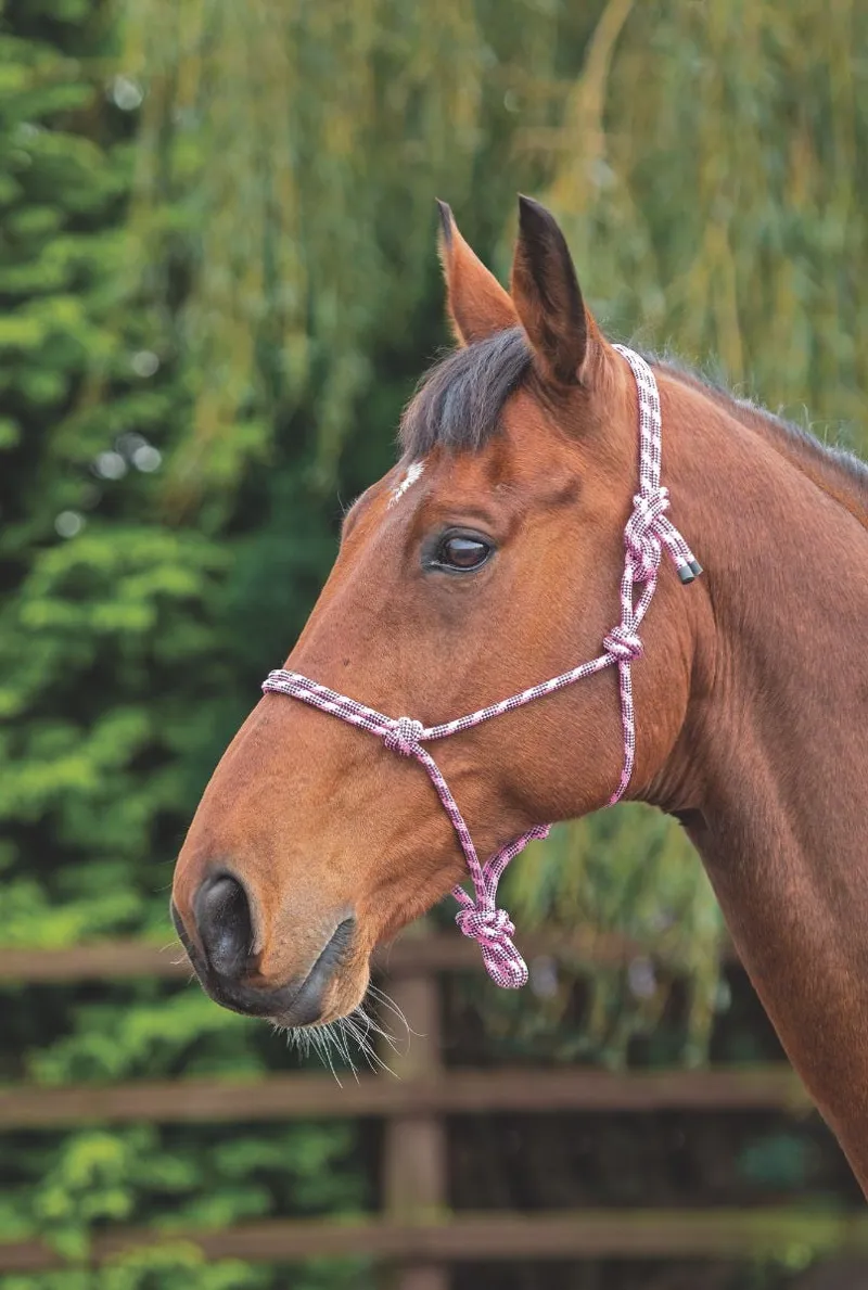 Shires One Size Rope Control Headcollar In Pink/Black-2