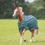 Shires Typhoon Lite Turnout Rug in Green