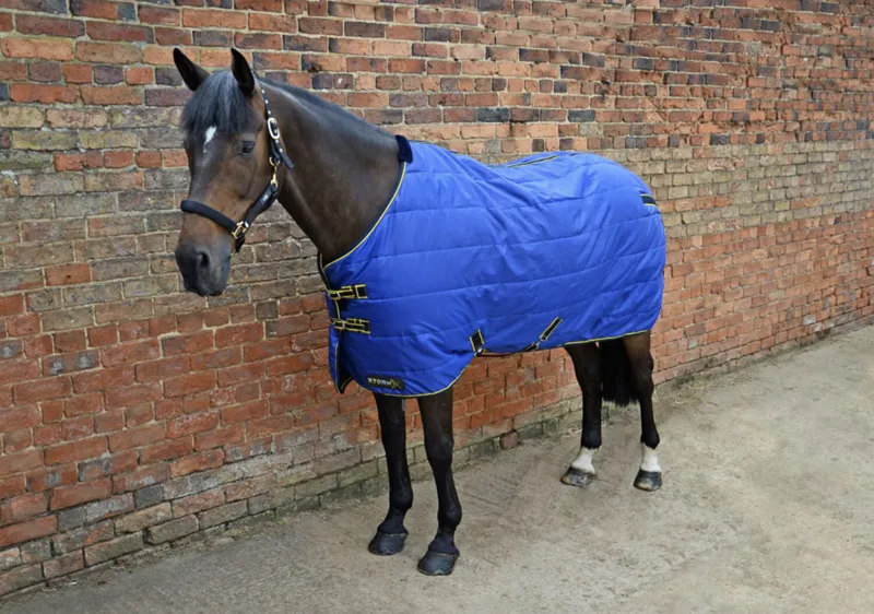 StormX Original 100 Stable Rug in Royal Blue and Navy and Yellow