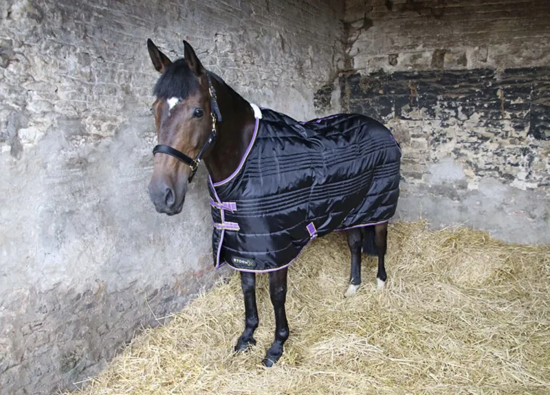 StormX Original 200 Stable Rug in Black/Purple/Yellow