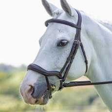 Rapida Ergonomic Flash Bridle  