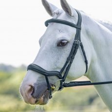 Rapida Ergonomic Flash Bridle  